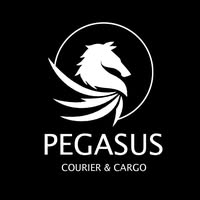 Pegasus Courier & Cargo logo